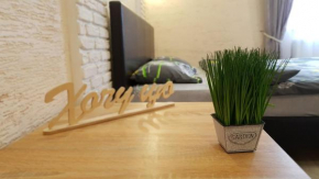 NEW Luxury Studio Apartment